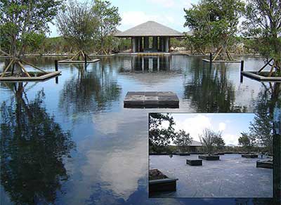 decorative-pond-2