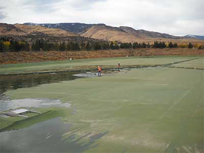 geomembrane