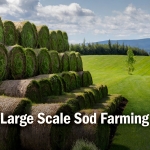 Maximizing Efficiency: The Advantages of Big Rolls in Large Sod Farming